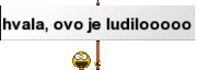 Ludilo